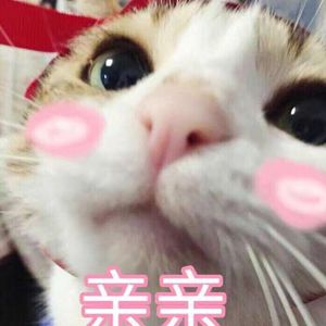 韩国人黄片与黑人
